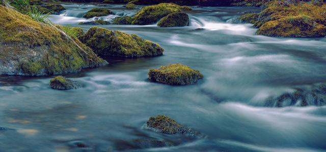 long exposure shot of mossy creek